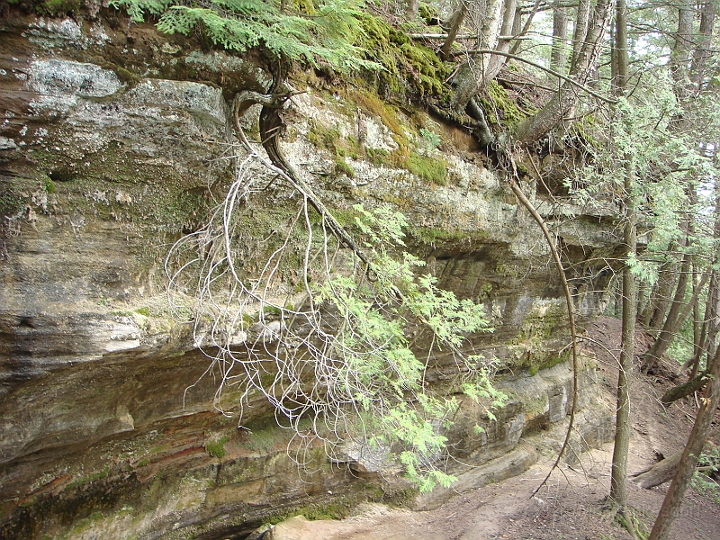 313 Memorial Day [2008 May 23].JPG - Scenes from Tahquanemon Falls in the Michigan Upper Peninsula.